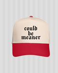 Could Be Meaner Trucker