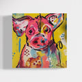 mini pig-6x6